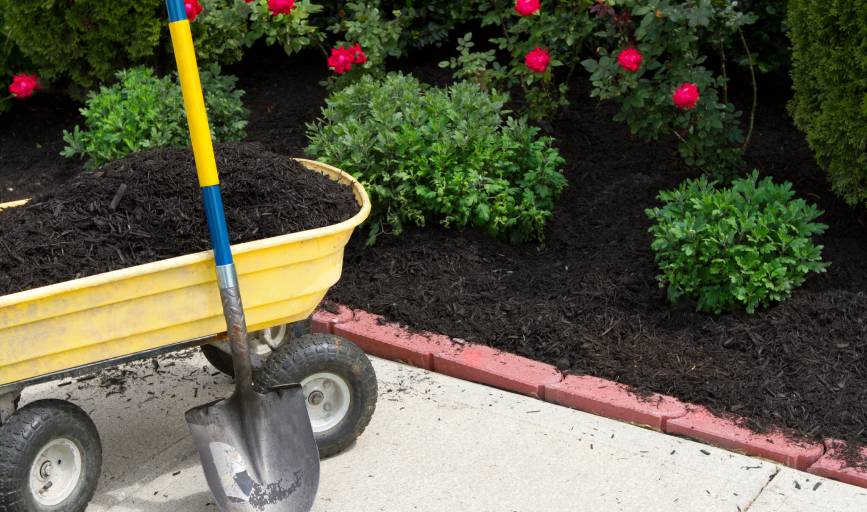 Mulching