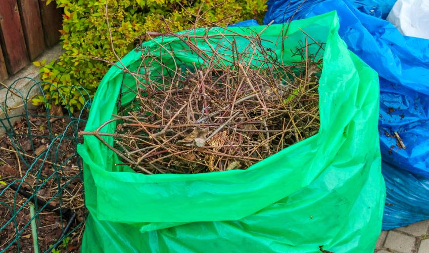 Yard Cleanup